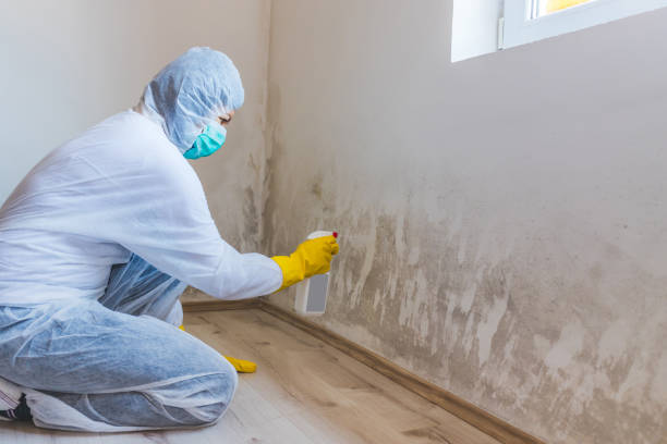 Licensed Mold Remediation service in Salem, NC - 24 Hour Mold Removal