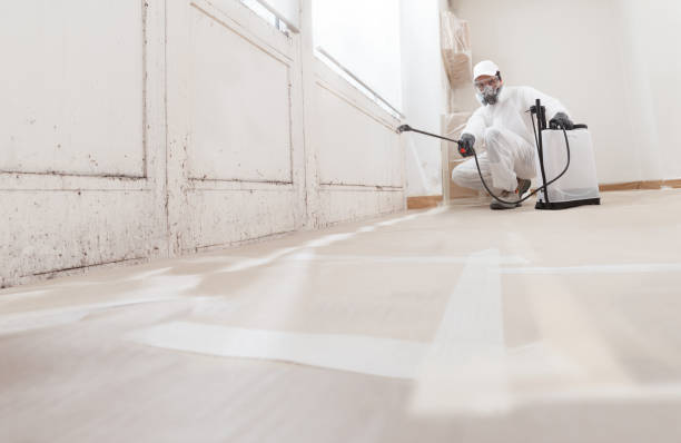 24/7 Emergency Mold Remediation experts in Salem, NC