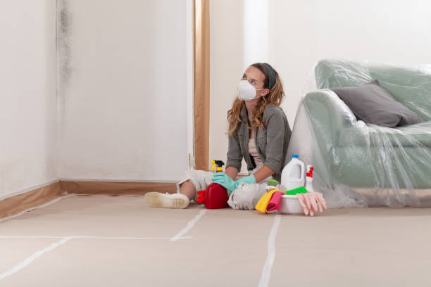 Reliable Mold Remediation contractor in Salem, NC by 24 Hour Mold Removal