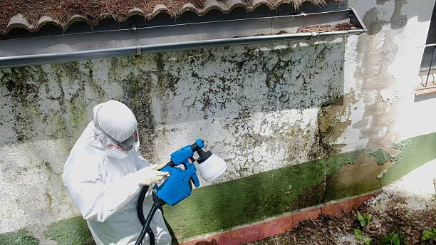 Top rated local Mold Remediation specialists in Salem, NC